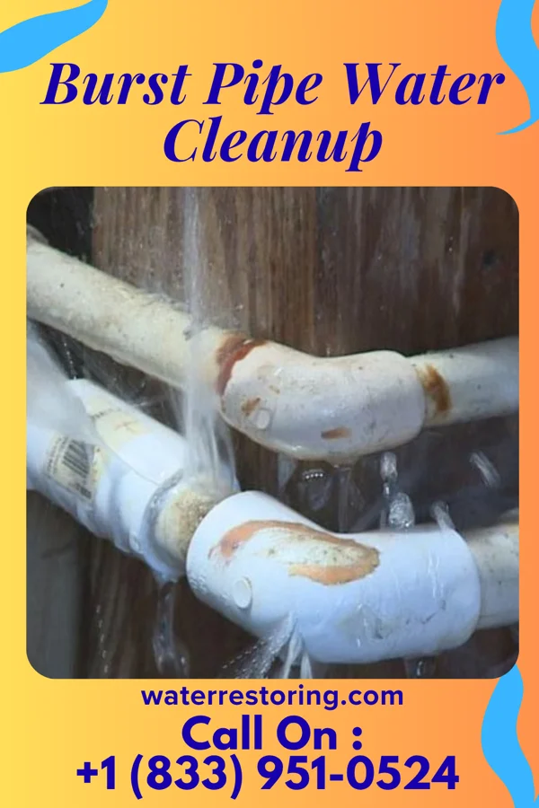 Burst Pipe Water Cleanup in Cordry Sweetwater Lakes, IN