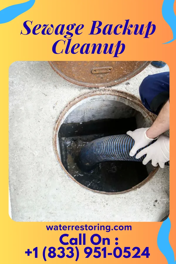 Sewage Backup Cleanup in Cordry Sweetwater Lakes, IN