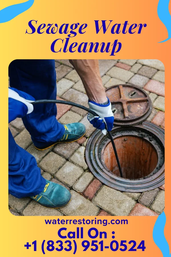 Sewage Water Cleanup in Cordry Sweetwater Lakes, IN